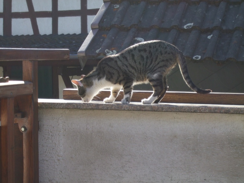 Ostern 2007 Orleshausen 062 